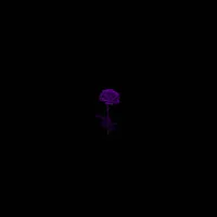 Pre Kai Ro — Garden — обложка